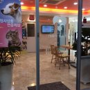 마음사랑동물병원 이미지