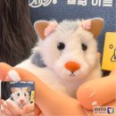 정감아트플래닛의 마스코트!! 귀여움 담당 &#39;정감이&#39;를 소개합니다.