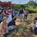 도시농업전문가 과정(80시간) 이미지