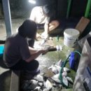 약산면-3 이미지