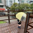 대봉종합건설(주) | 이천시육아종합지원센터 2호점(온천점)놀이실 솔직후기