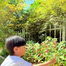 녹원유치원 이미지