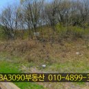 LBA토지공인중개사사무소 이미지