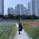 신당동 떡볶이 타운 가려면 이 집은 꼭! 웨이팅 없이...산청엔흑돼지,당도,푸라닭,올영세일깡(내돈내산💸)