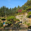 강릉성산 공인중개사사무소 이미지