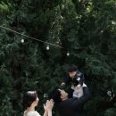 우연1972 이미지