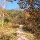 한방생태숲 이미지