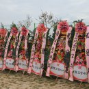 신우태양광발전소 이미지