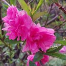 단지골 농장 이미지