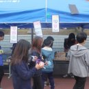 탄벌초등학교 이미지