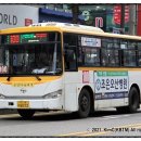 금암마을여객 이미지