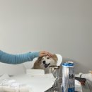 코코스크린골프 | 여러분 저 됐어요 2026년 됐어요 샤갈