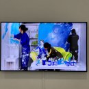 1981닭울림 | [10월 전시회 추천] 국립현대미술관 사전예약 무료관람 방법, 관람후기