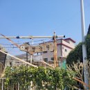 세정농원 이미지