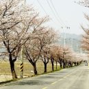보령 나들이 2코스 네이버블로그