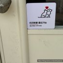 아소카페 | 청주 비하동 아소하우스 꽃다발&카페 감동 후기