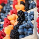 봄,푸드 이미지