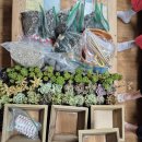 군산시정신건강복지센터 이미지