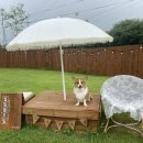 십일월오일 이미지