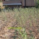 희석목장 이미지