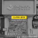 스노우폭스 이미지