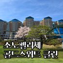별장파크 | 소노펠리체 비발디파크 골드 클린형 후기 | 객실 타입 총정리까지