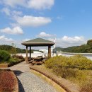 웰빙타운 이미지