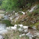 대굴령마을 이미지