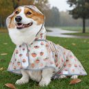 평생학습센터자전거도로화장실 | 【유기견 시리즈 3편】 입양 후 초기 적응 정보 - 첫 3개월이 중요해요.