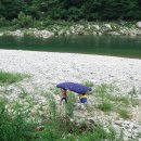 노루목산장 이미지