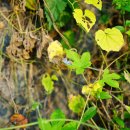 에스메디센터내과외과의원 이미지