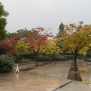 2011년 10.15(토) [교산문학관] 가을 시낭송회 - 하늘새님 제공입니다. 이미지