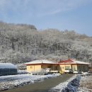 참빛농장 이미지