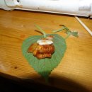 몰운대꼼장어 이미지