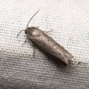 한스행정사사무소 이미지