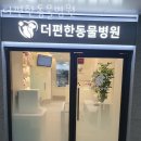 더편한동물병원 | 더편한동물병원 위치 오는길 후기