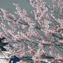 동명대학교 이미지