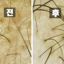 올가뷰티송천아이파크점 이미지