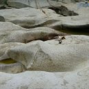 늑천정 옆 이미지