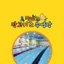 망고키즈수영장(사직점) 이미지