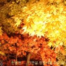 만해 한용운님의 시 모음 -님의침묵 /노래,심신 스님 이미지