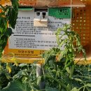 효정농장 이미지