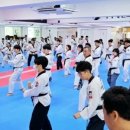 국가대표 최강 태권도장 이미지