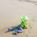 연곡해변 솔향기캠핑장 이미지