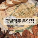 금별맥주 운양점