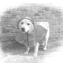 연필화(야간) 이미지