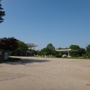 국립경주박물관 Daum카페