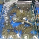 삼우상회 이미지