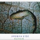 최성기농장 이미지