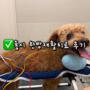 더본 외과동물의료센터 이미지